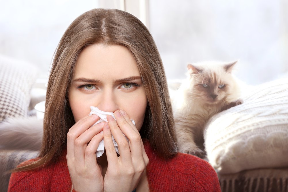 Показания: сезонный поллиноз и другие виды аллергий