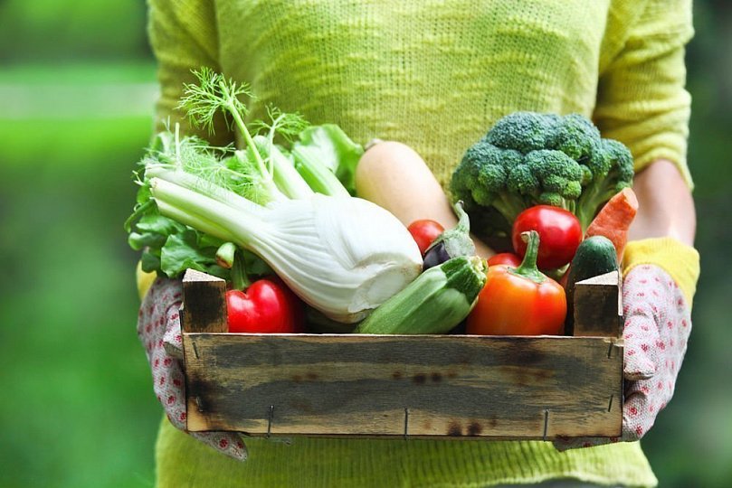 Экологические продукты питания: что это за продукты и как влияют на здоровье человека Экологические продукты питания: что это за продукты и как влияют на здоровье человека