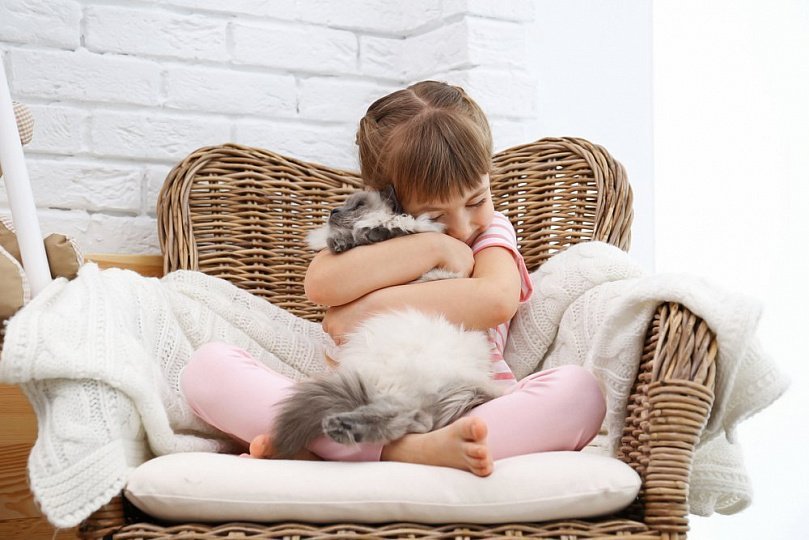 Укусы животных: самые опасные любимцы Укусы животных: самые опасные любимцы