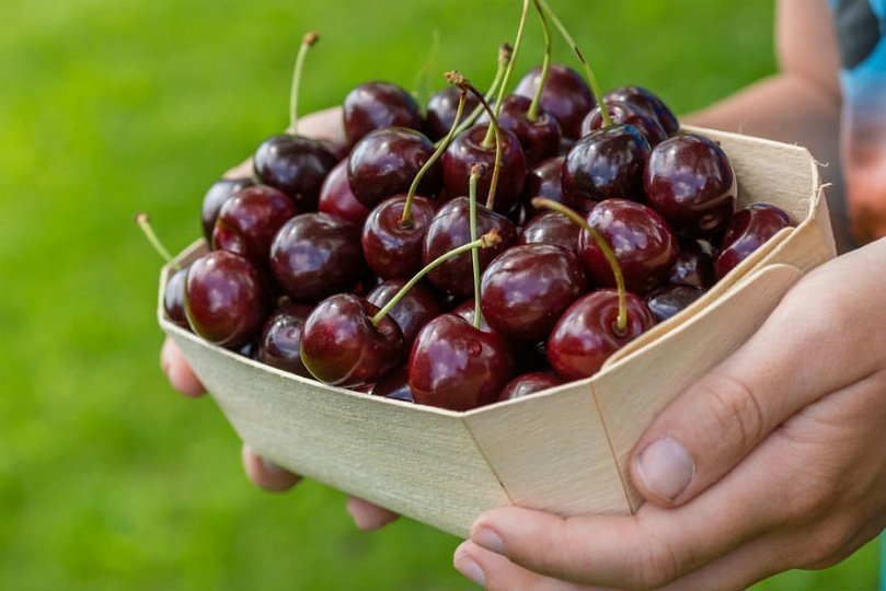 Низкокалорийные рецепты из вишни Низкокалорийные рецепты из вишни