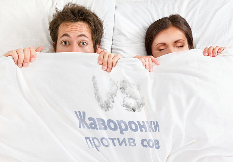 Жаворонки VS совы: кто продуктивнее? Жаворонки VS совы: кто продуктивнее?