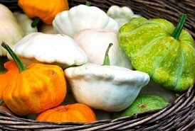 Выход из модельной диеты