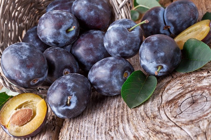 Слива в меню питания: вкусные и полезные рецепты блюд Слива в меню питания: вкусные и полезные рецепты блюд