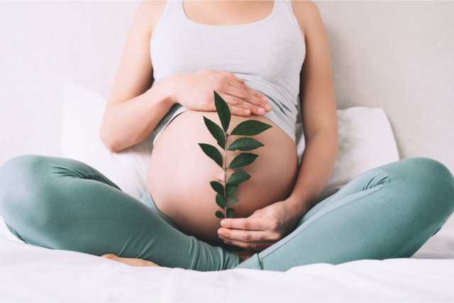 Пробка при беременности: как выглядит и отходит - sauna-ernesto.ru