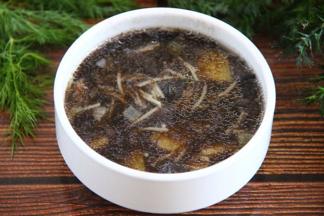 Суп из подберезовиков. Грибной суп из сушёных грибов с вермишелью. Черный бульон.