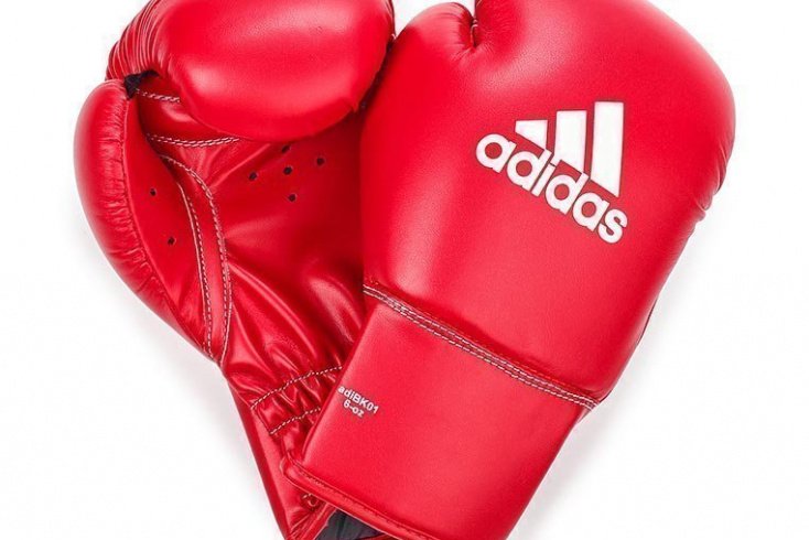 Перчатки боксерские ROOKIE adidas Combat Источник: pi2.lmcdn.ru