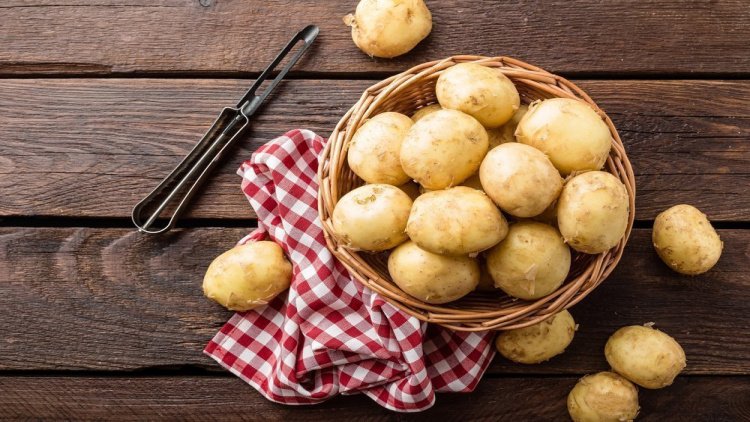Как на Руси приучали есть картошку?