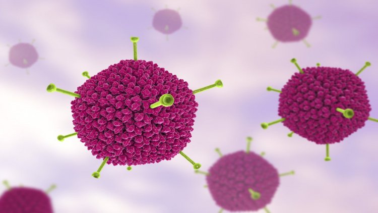 Что представляет собой аденовирусная инфекция и почему она возникает?