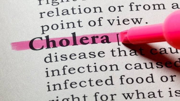 Холера: редкая, но опасная инфекция