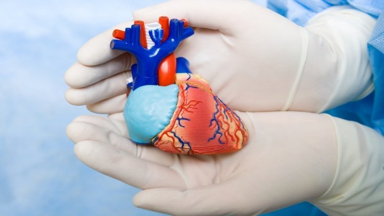 Лечение сердечных болезней: проблемы медицины