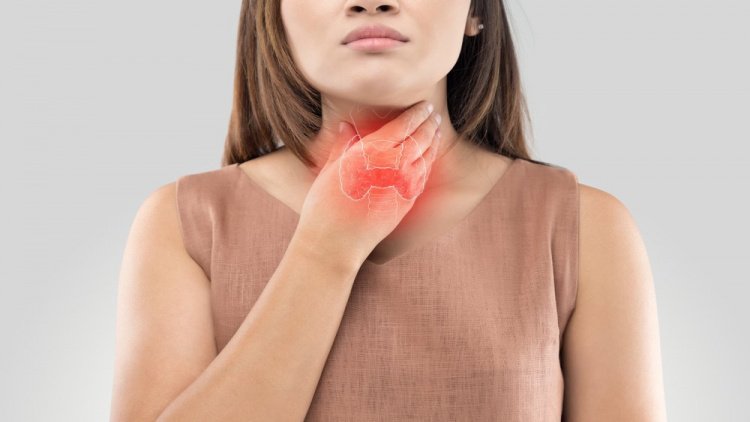 Щитовидная железа и ее гормоны