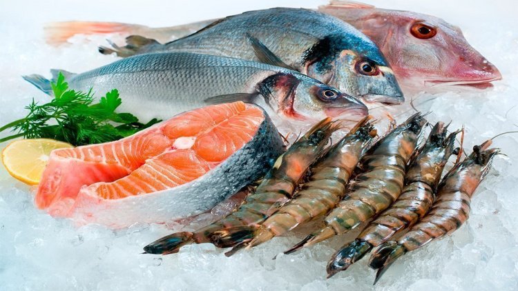 Залог правильного питания: выбираем качественную рыбу