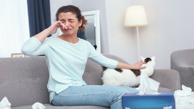 Домашние питомцы как источник аллергенов