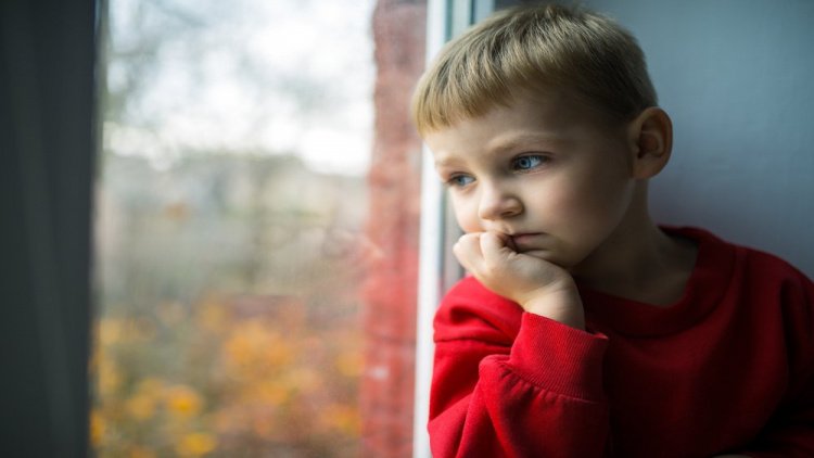 Особенности эмоциональной сферы детей 5-6 лет