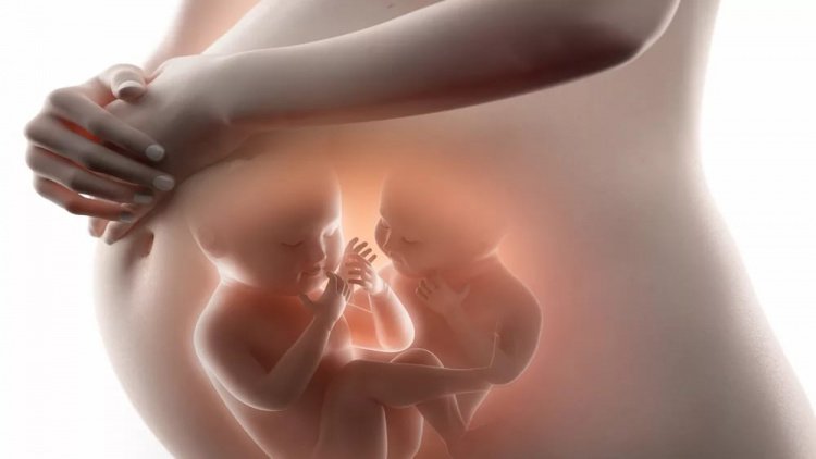 Близнецы: особая беременность