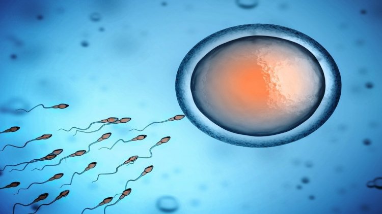 Почему серая сперма
