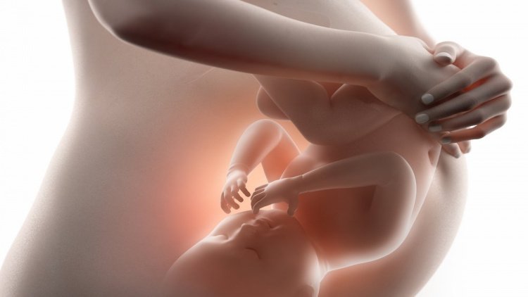 Изменение размеров плаценты при беременности