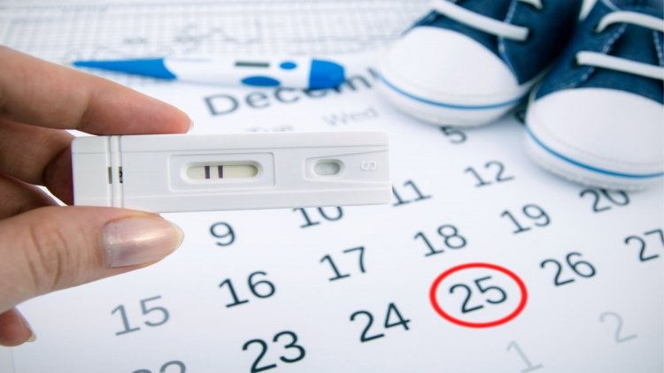 Календарь беременности — важно