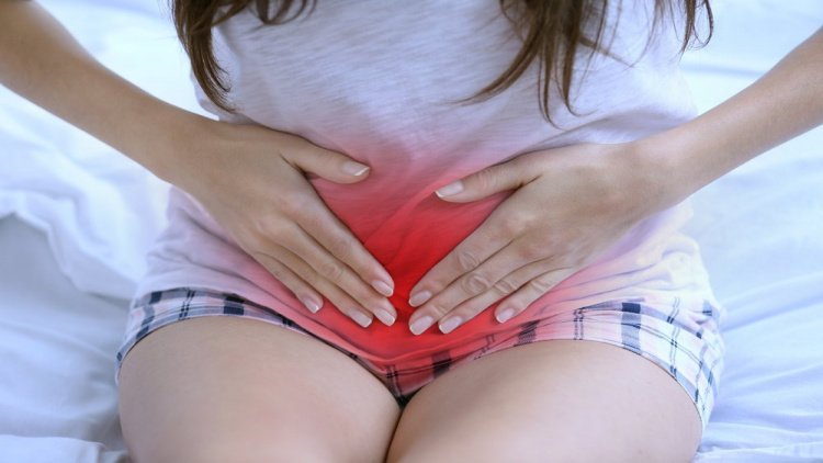 Изменения слизистой в течение менструального цикла