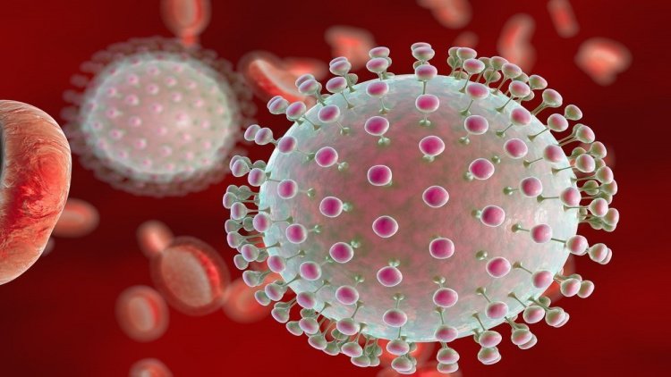 Вирус лихорадки Зика: особенности инфекции