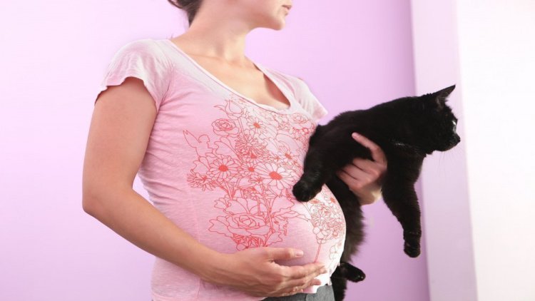 Наличие домашних животных при беременности