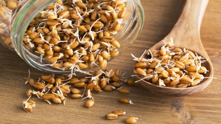 Употребление зародышей пшеницы в качестве профилактики болей в груди