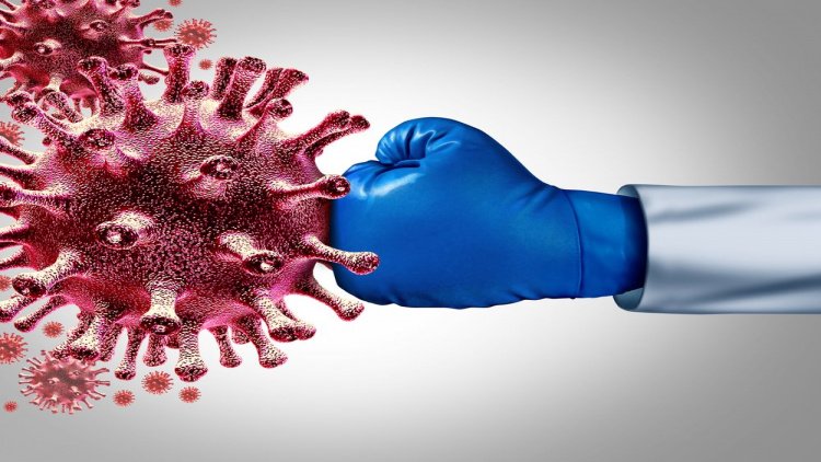 Спастись от коронавируса: усиль свой иммунитет за 30 дней