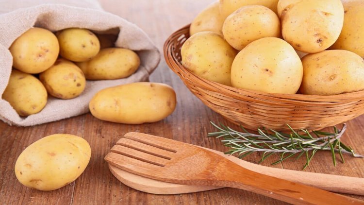 Питание: любимый овощ — картошка