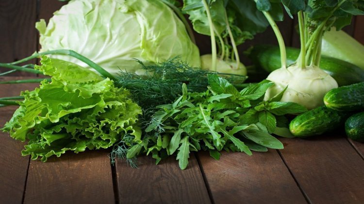 Польза зеленых продуктов в рационе питания