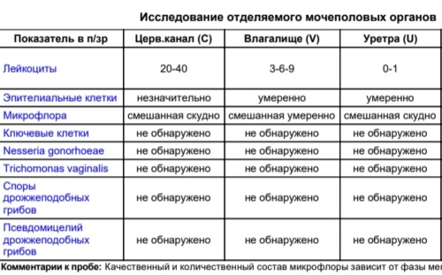 Микроскопическое исследование отделяемого мочеполовых органов женщин (микрофлора)