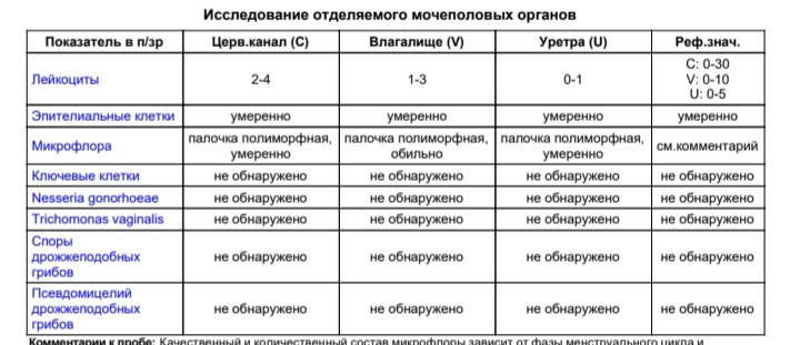 Микроскопическое исследование мазка расшифровка у женщин - читайте статью ДНКОМ